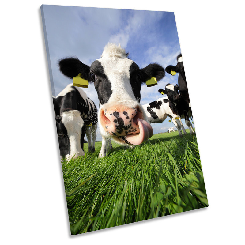 Cow Face Head Field Cattle - Wrapped Canvas Print, 91.4cm H x 61cm W x 4cm D