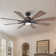 Lisa 60'' Ceiling Fan with LED Lights