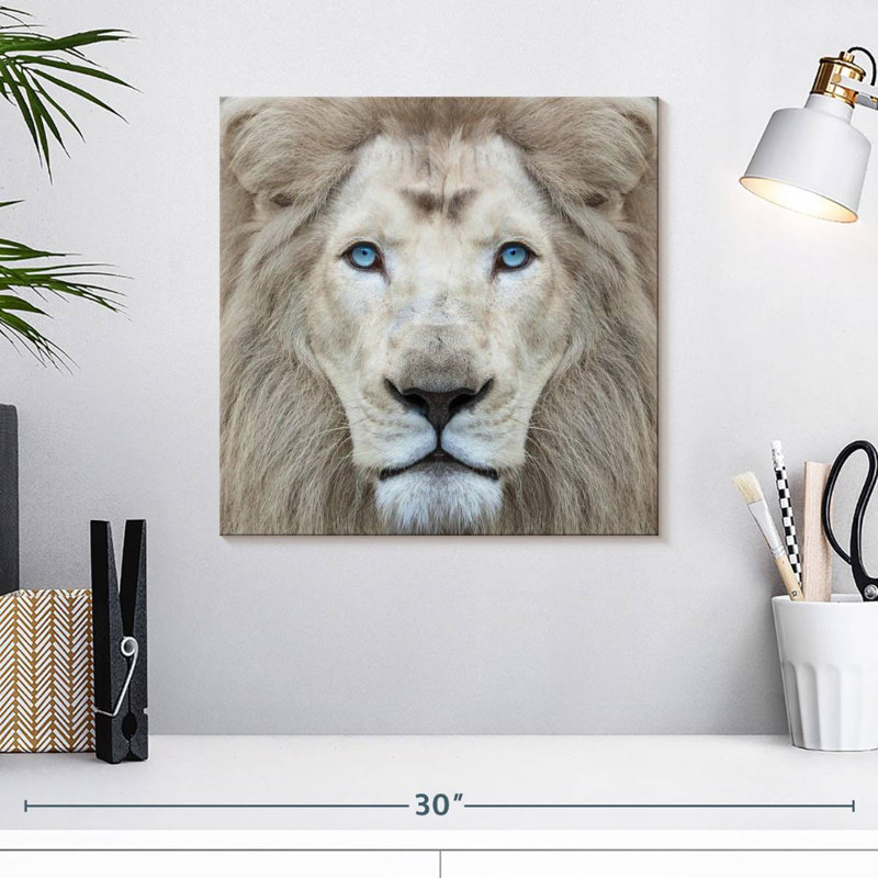 Brampt Exotic Lion, 16" H x 16" W