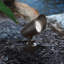 LED Spotlight-65533648-65533649