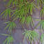 100cm Faux Foliage Plant