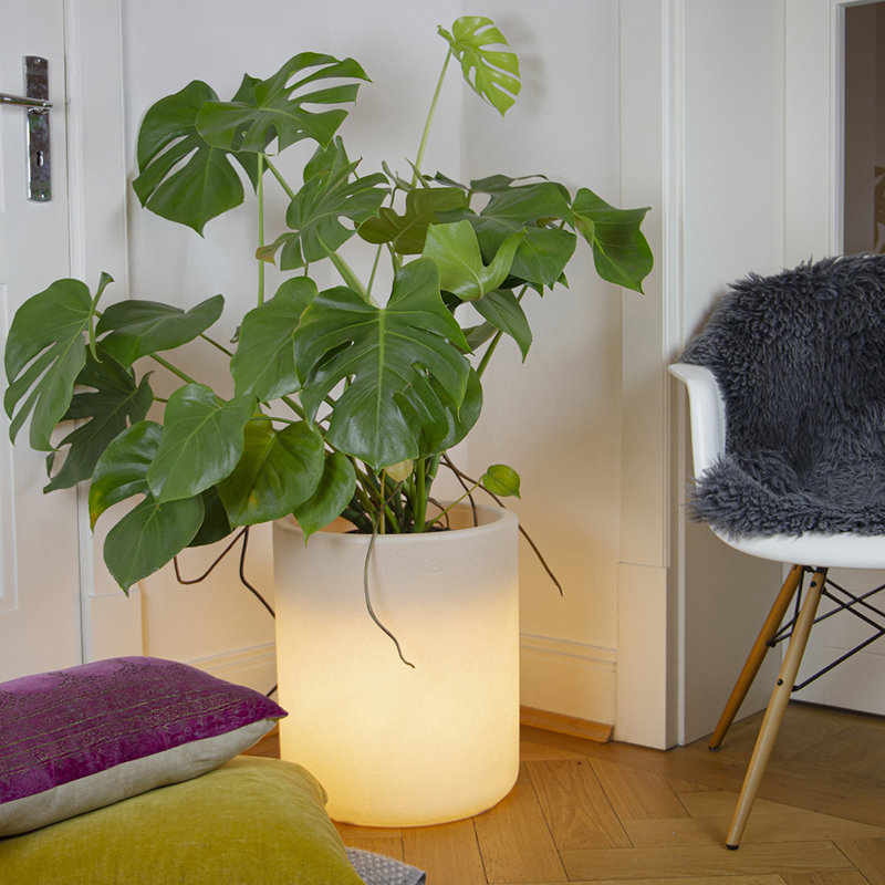 Maisy Pot Planter, White, 45cm H x 39cm W x 39cm D