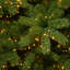 7.5 ft. Downswept Douglas Fir Tree with Dual Color® LED Cosmic Lights®