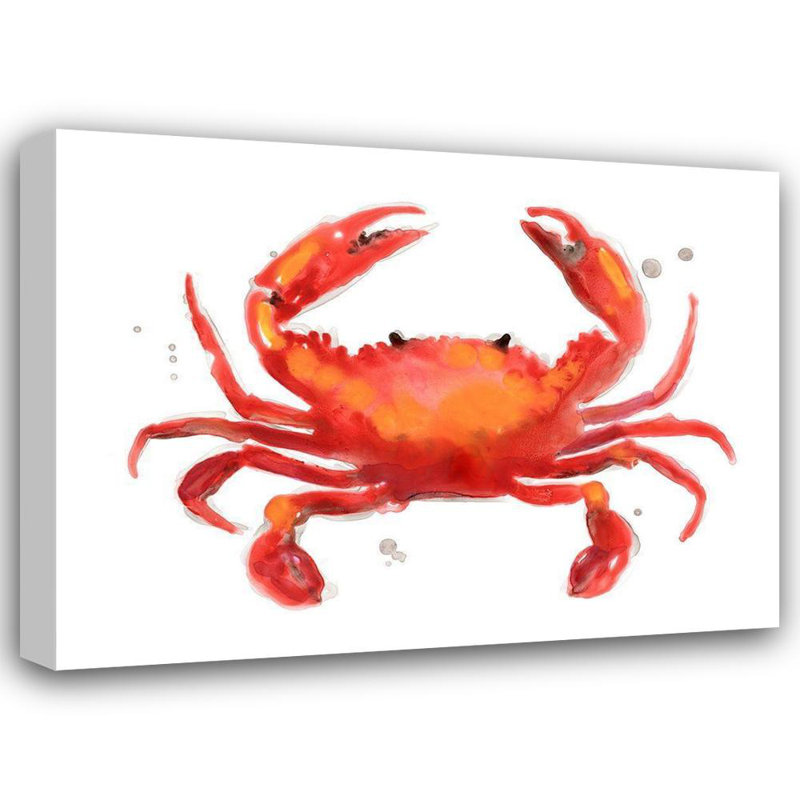 «Dovecove Vess, June Erica», reproduction d'art sur toile tendue: Crabe camée, H 28 po x l 36 po