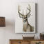 Handsome Whitetail I - galerie sur mesure