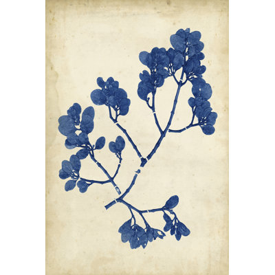 Indigo Leaf Study III by Vision Studio - Wrapped Canvas Print