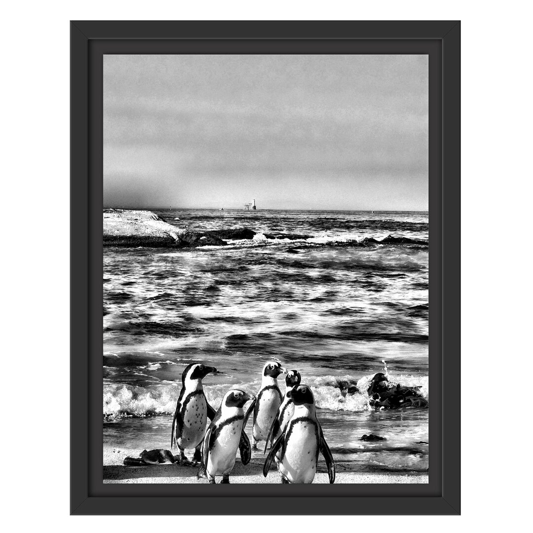 Gerahmtes Wandbild Pinguine am Strand