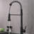 LITTLE TREE Pull Out Kitchen Faucet