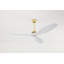 Hexanova Smart Ceiling Fan-1937108836-1937108833