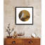 White Hawk on an Old Pine Tree by Ban Shan - Single Picture Frame Painting-1244560375