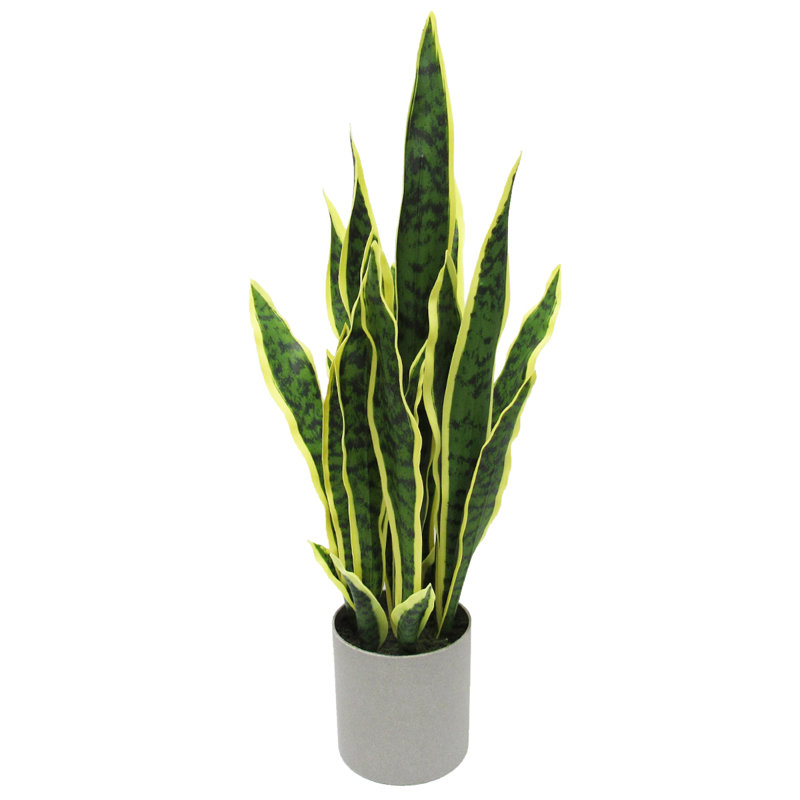Plante de serpent artificielle Sansevieria en pot, H 25 po x l 11 po x P 11 po
