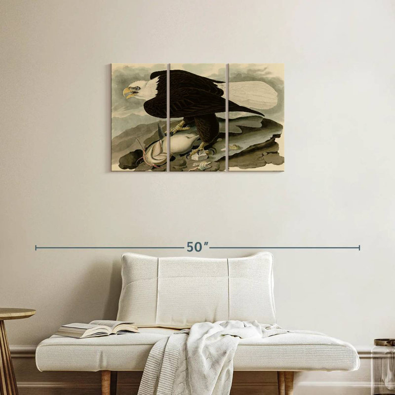 Brampt Whiteheaded Eagle, 20" H x 33" W