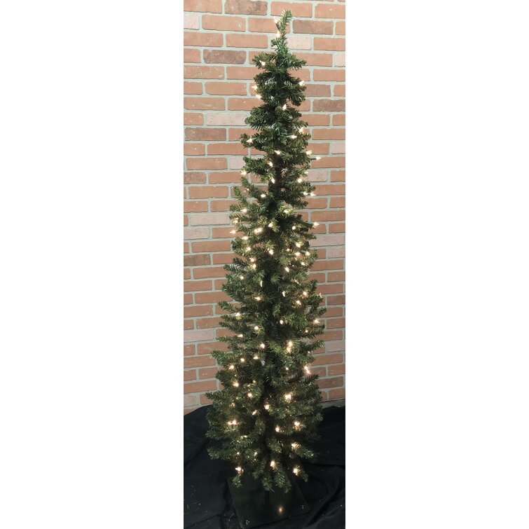 Pencil Slim 6' Green Fir Artificial Christmas Tree with 150 UL Warm White Lights