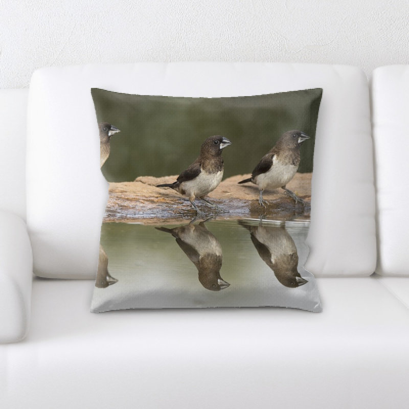 Housse et insert d'oreiller carré Birds