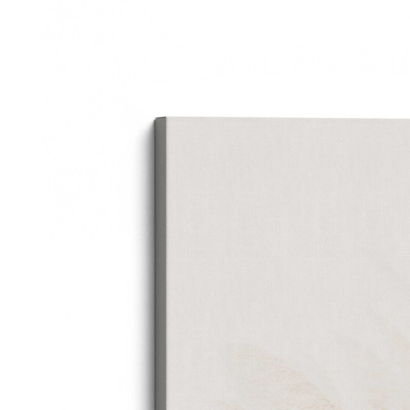 Impression sur toile Soft Pampas Plumes, H 18 po x l 12 po x P 1,25 po, Toile tendue