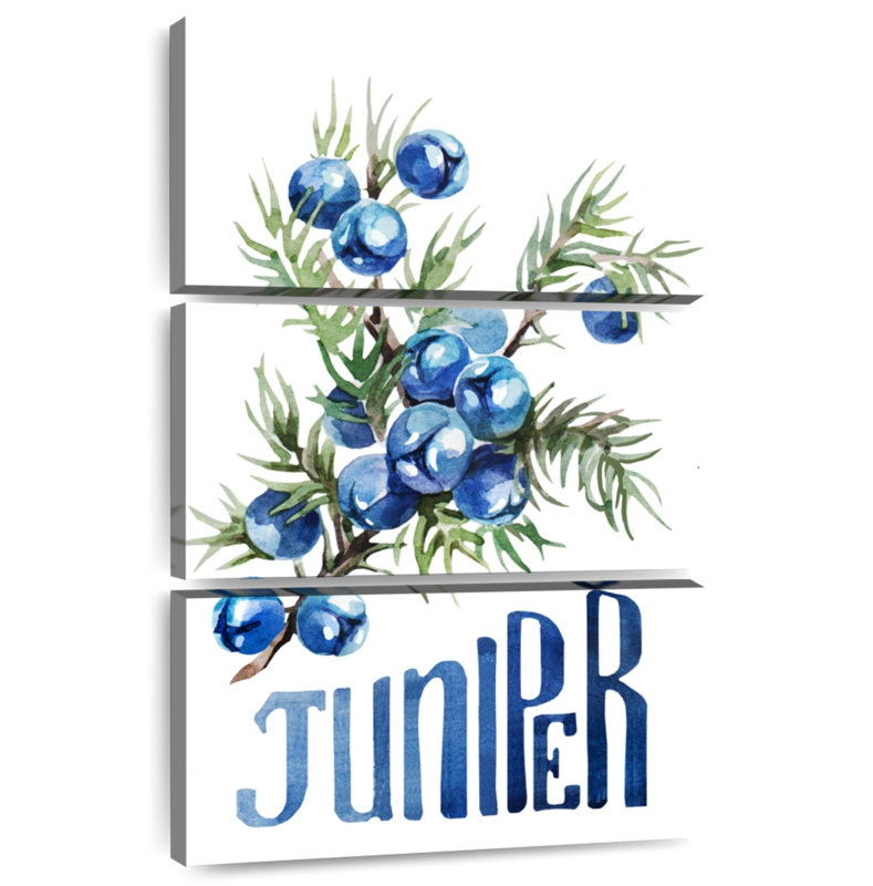 Yarlin Juniper Berries, 50" H x 32" W