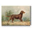 «Irish Setter I», reproduction d'art sur toile encadrée-79114524-79114525