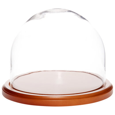 Jenett 8" x 6.5" Glass Display Dome Cloche