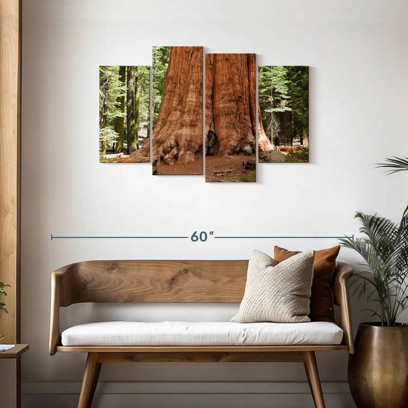 Harnek Ancient Sequoia Tree, 27" H x 43" W