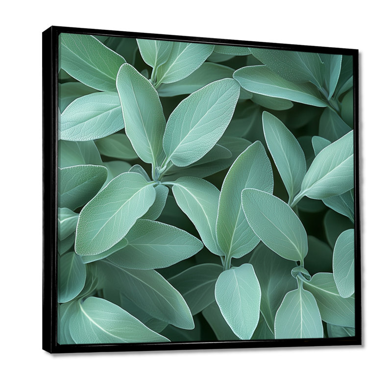 Feuilles de sauge - feuilles, art mural, Impression encadrée flottante, Noir, noir, noir, noir, H 16 po x l 16 po