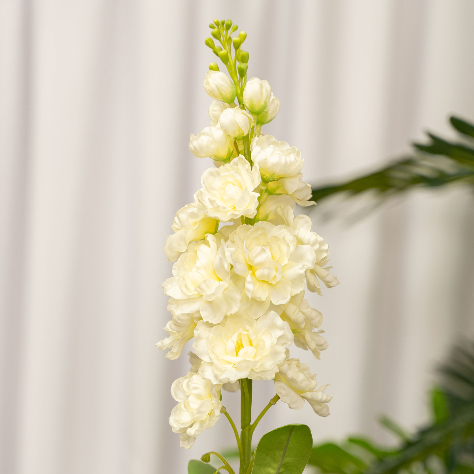 Florence Delphinium Stems, White