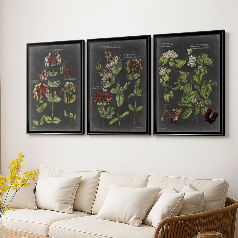 Tableau botanique rétro I - Toile tendue avec châssis sur mesure - 3 pièces, H 21 po x l 30 po, Noir