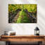 Yarlin Napa Valley Vineyard-111834575