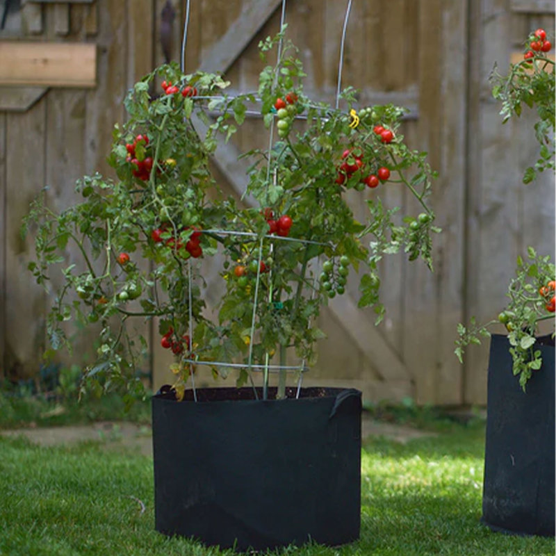 Pot Planter, Black, 9.84" H x 11.81" W x 11.81" D