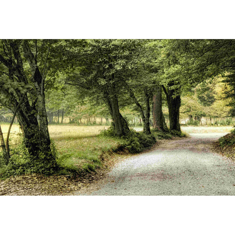 " Path In The Country " by Danny Head, 20" H x 30" W  