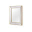 Hadley Rectangle Glass Mirror-1603333560
