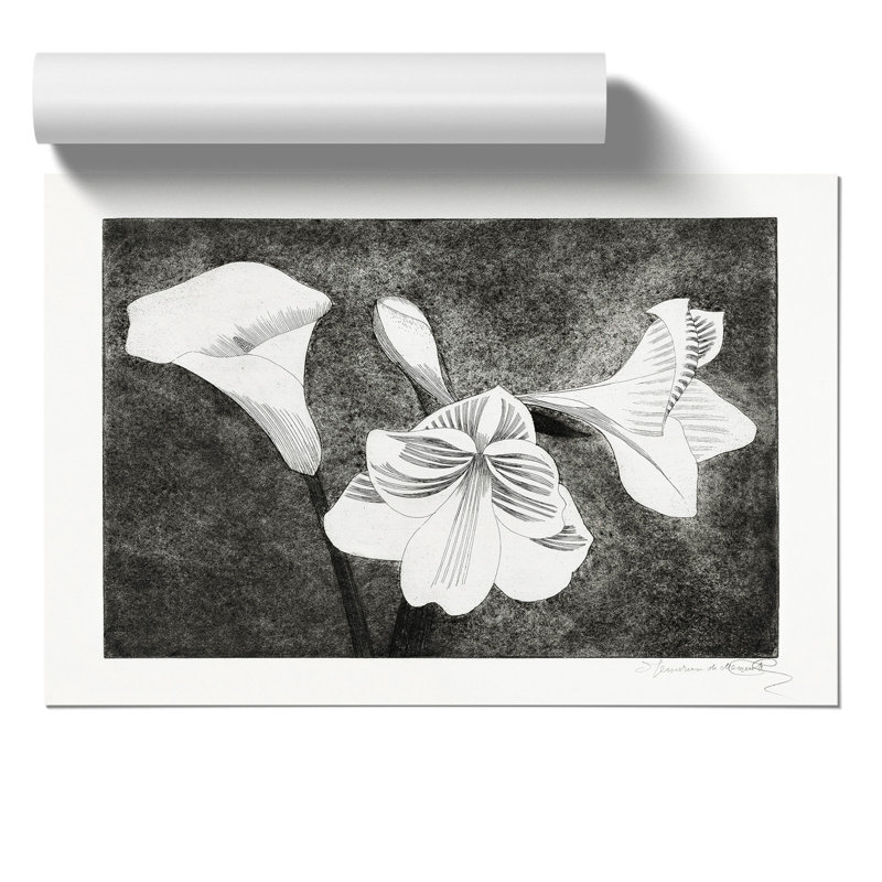 Amaryllis Flowers by Samuel de Mesquita - Frameless Print, 30cm H x 42cm W x 0.1cm D