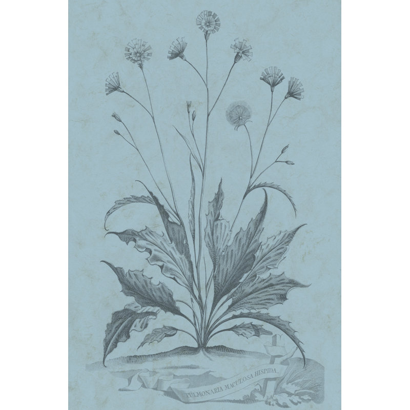 Botanical On Teal IV - Wrapped Canvas Print, 46cm H x 30cm W x 3.8cm D