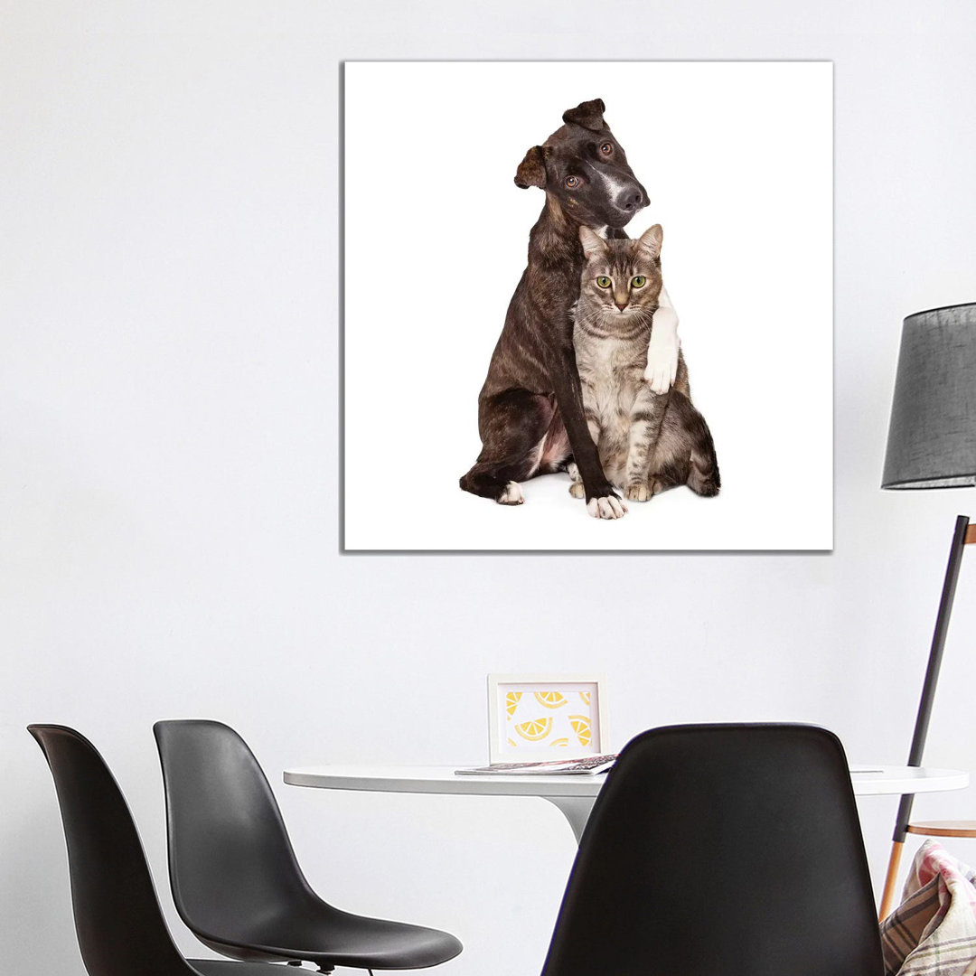Dog With Arm Around Cat by Susan Schmitz - Wrapped Canvas Gallery-Wrapped Canvas Giclée