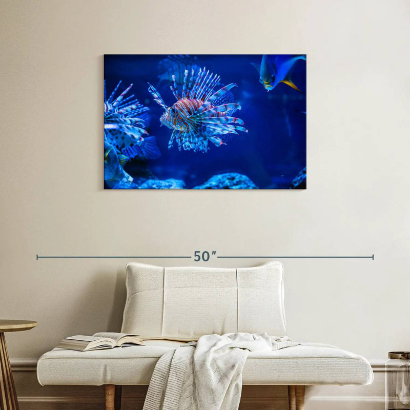 Brampt Aquarium Lionfish, 24" H x 36" W