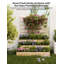 Wood Raised Garden Bed