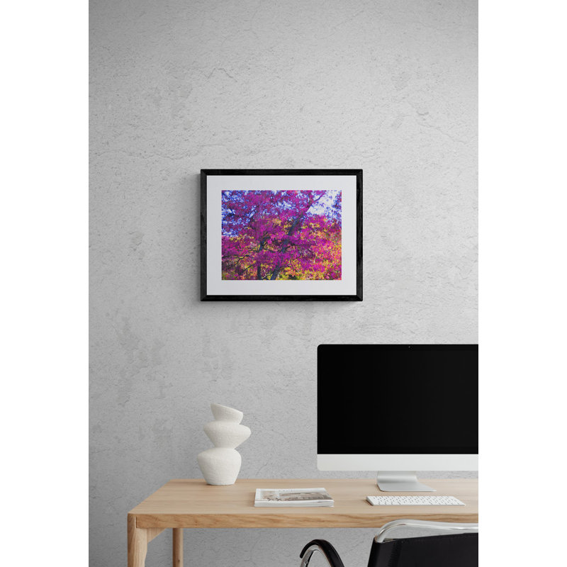 My Fall Fuchsia Print by Drew Gaffney, 17.25" H x 21.25" W x 0.875" D