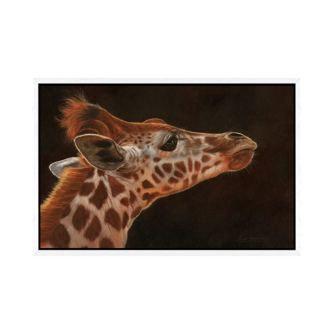 Giraffenporträt I von David Stribbling - Galerie-verpackte Leinwand Giclée auf Leinwand