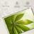 Marijuana Leaf Sunrise-111983875