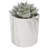 4.75'' Faux Succulent in Fake Marble Pot