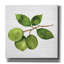 "Epip Graffiti" Citrus Garden 2 Shiplap "par Kathleen Parr, art mural sur toile, 37 po x 37 po-106172545