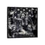 « catch a chutes star », impression sur toile-32591145-72120506-72120501