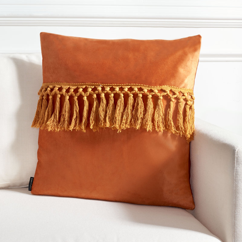 Anaster Tassels Reversible Throw Pillow