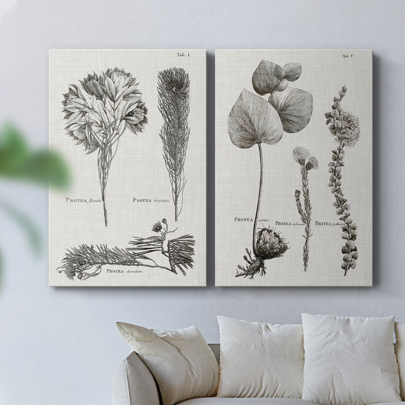Toile tendue avec châssis noir et blanc Protea on Linen - Prêt à accrocher, H 27 po x l 36 po