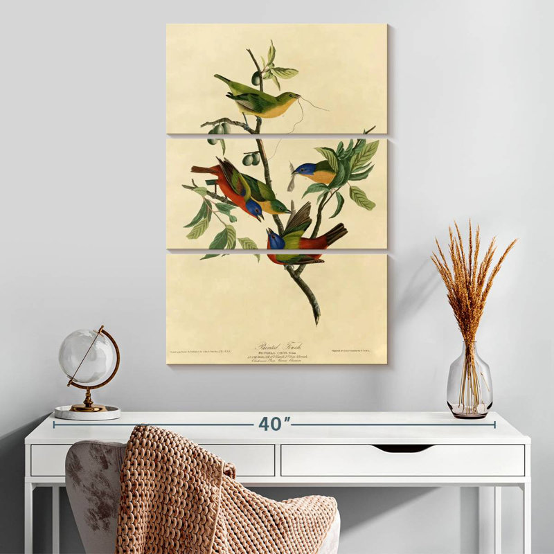 Brampt Painted Finch, 32" H x 20" W