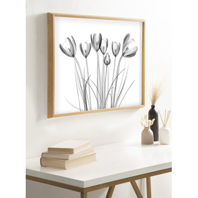 Crocus X Ray Floral BW by The Creative Bunch Studio Framed Glass Wall Art