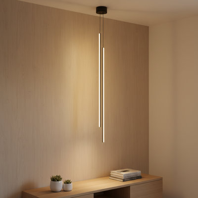 Luminaire suspendu à 2 lumières DEL noir mat nazair