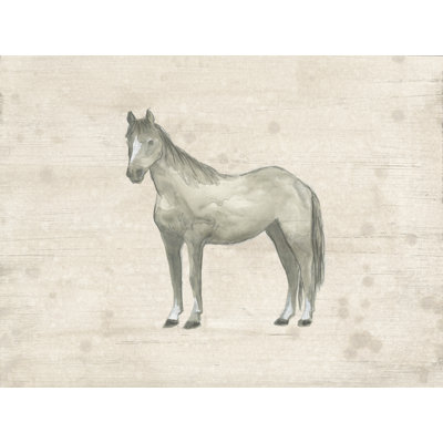 Taymour Antique Equine Sketch II 1 Piece Wrapped Canvas Wall Art