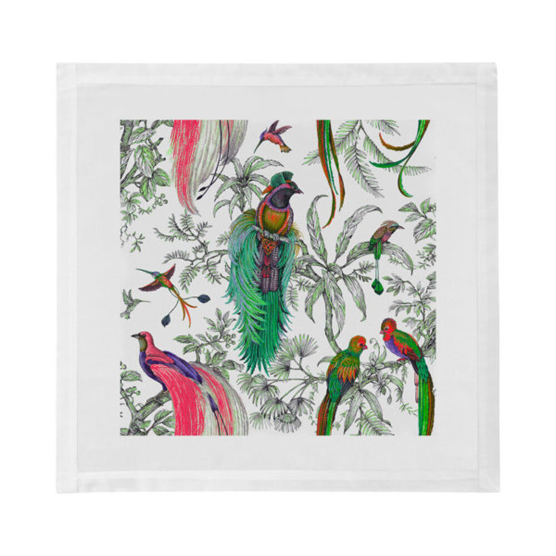 Audubon Exotica Cotton Blend Square Napkins, Green Persimmon