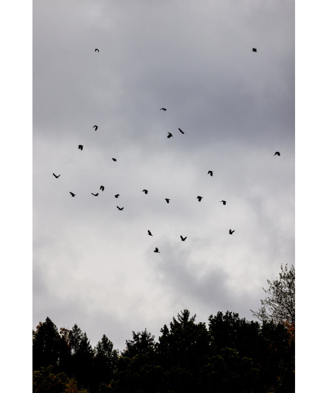 Wrapped Canvas Print, 121.92 cm H x 81.28 cm W