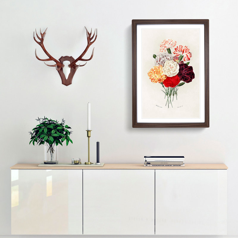 Carnation Flowers by Charles d'Orbigny - Picture Frame Painting Print, Walnut Framed, 65cm H x 48cm W x 2cm D